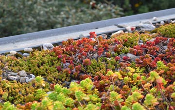 the cost of Dosthill green roof installation