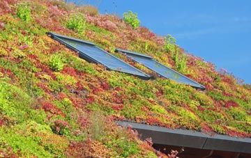 Dosthill living roof systems