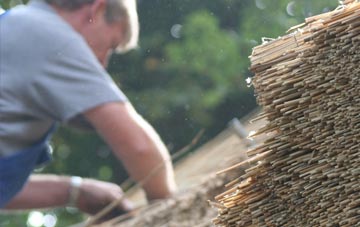 professional Dosthill thatchers