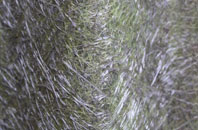 Dosthill fibreglass roof work